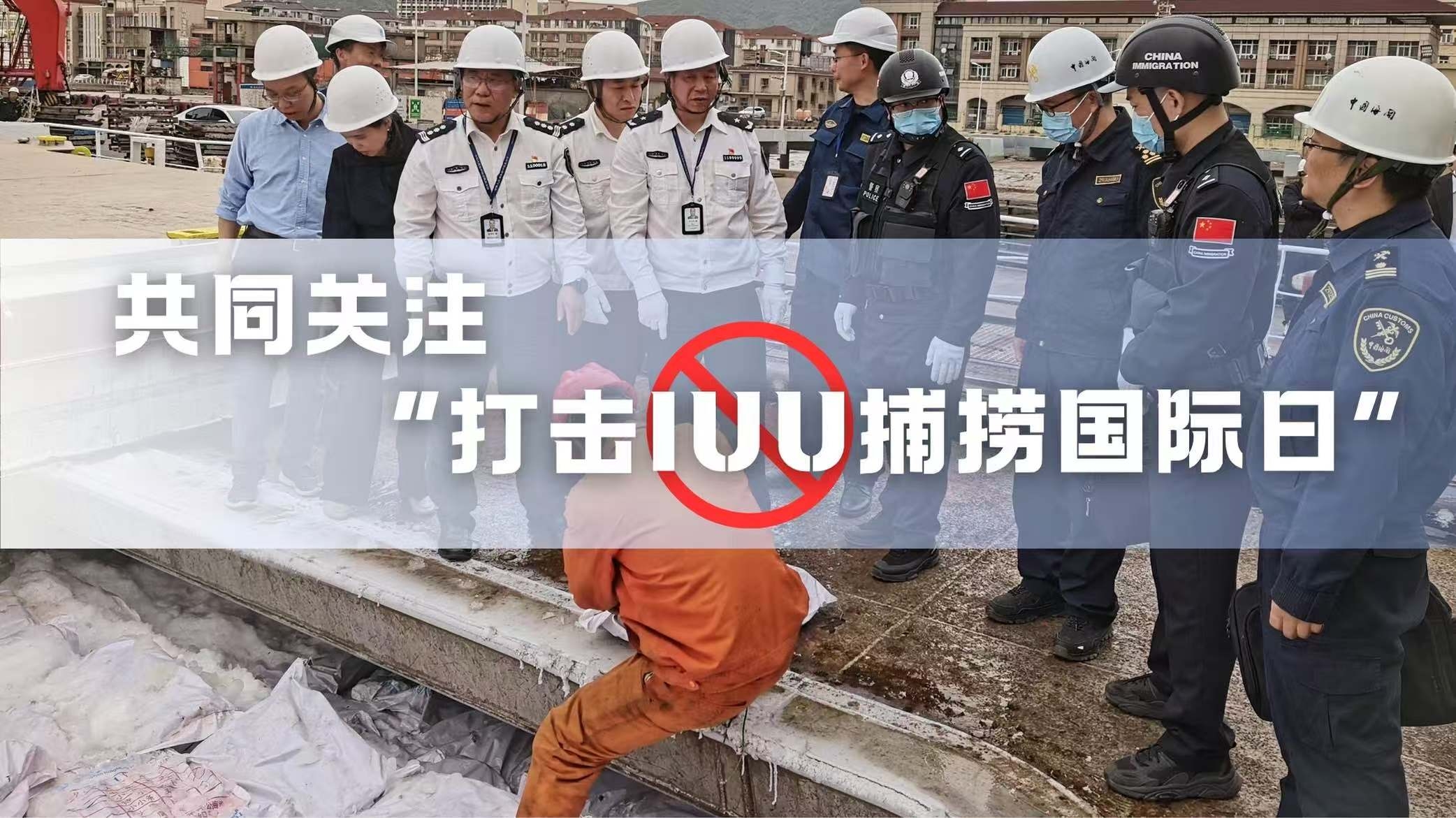 打击IUU捕捞国际日
